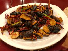 -陆地游轮吉林神农温泉