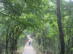 -云碧峰国家森林公园