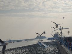 -青岛海滨风景区