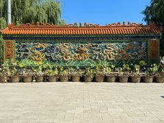 -白洋淀景区