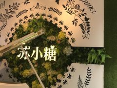 -苏小糖(鼓浪屿三丘田花园店)