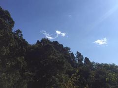 -北京上方山国家森林公园