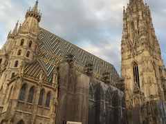 -斯蒂芬主教座堂(Stephansdom)