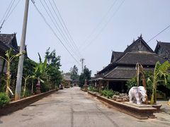 -西双版纳傣族园