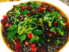 -万宝宝芝林(北辰店)