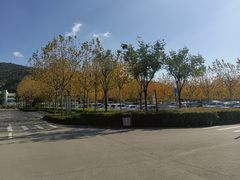 -崂山风景区-大河东游客中心