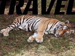 -栾川竹海野生动物园