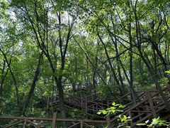 -大岭沟猕猴桃谷风景区