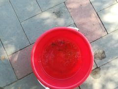 -吉林大学(前卫南区)