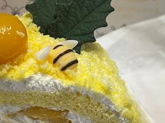 -COVA(新天地Xintiandi店)