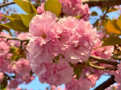 -唐城墙遗址公园