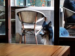 -VESH COFFEE(定西路店)