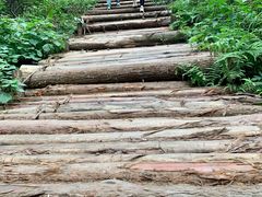 -罗田薄刀峰风景区
