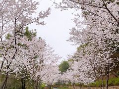 -临平公园(临平街道)