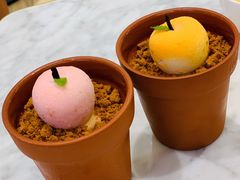 花园巧意蛋糕冰激凌-哈根达斯(济南万象城店)