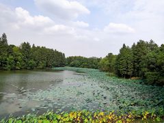 -东湖落雁景区