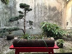 -鸣鹤古镇