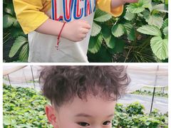 -小鱼草莓采摘园农家乐·小鱼餐厅