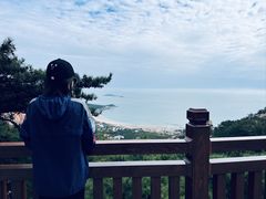 -崂山仰口游览区