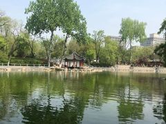 -莲湖公园