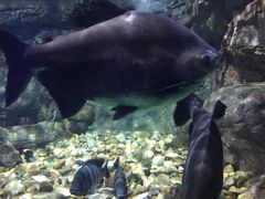 -常州海昌海洋探索馆