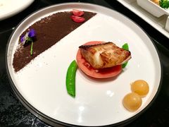 银鳕鱼-郑春發佛跳墙(三迪中心店)