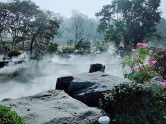 -东莞植物园