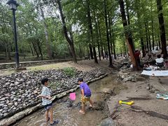 -白水寺森林公园