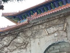 -秦始皇帝陵博物院-丽山园