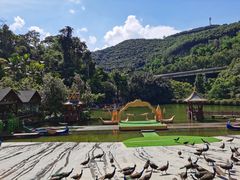 -西双版纳原始森林公园