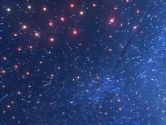 -水之梦(黄浦店)