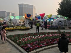 -龙环葡韵住宅式博物馆