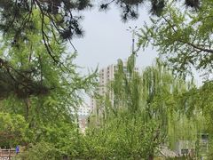 -元大都城垣遗址公园