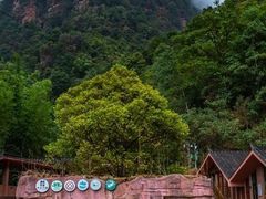 -赤水丹霞旅游区·佛光岩