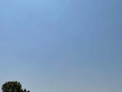 -空港花田景区