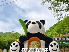 -栾川竹海野生动物园