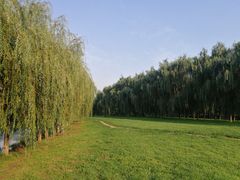 -东坝千亩湖公园