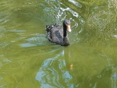 -海南热带野生动植物园