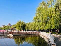 -莲花池公园