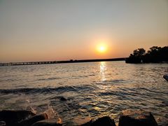 -宝安西湾红树林湿地公园