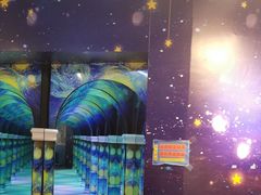 -天津梵高星空艺术馆(天河城旗舰店)