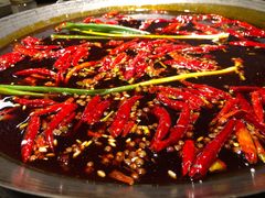 红锅-六公里老火锅(总店)