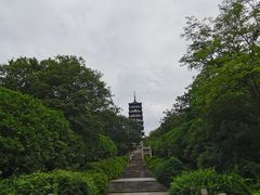 -宜兴龙背山森林公园