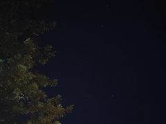 -武陵山森林公园