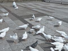 -合肥融创乐园