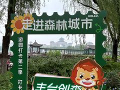 -莲花池公园