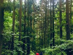 -东天目山风景区