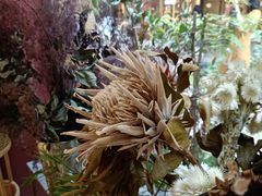 -二酉书店TOYOU BOOKS