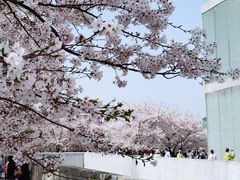 -龙美术馆(西岸馆)