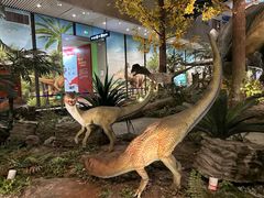 -湖南省地质博物馆